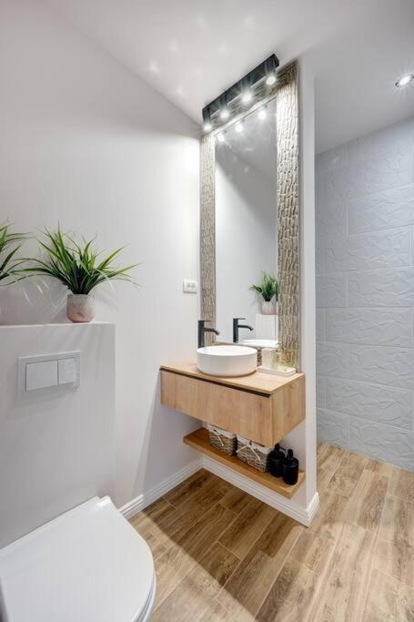 Oasis On Calea Victoriei Apartment Bucureşti Ngoại thất bức ảnh